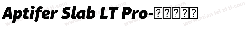 Aptifer Slab LT Pro字体转换